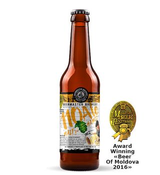 BEERMASTER 110 ALE MALȚ ȘI HAMEI 0,33L