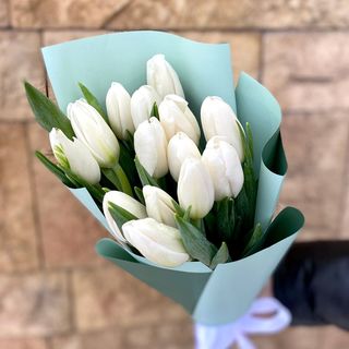 Tulipan biały 15szt.