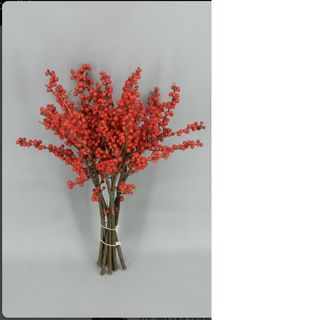 paquete de ilex de 50 cm