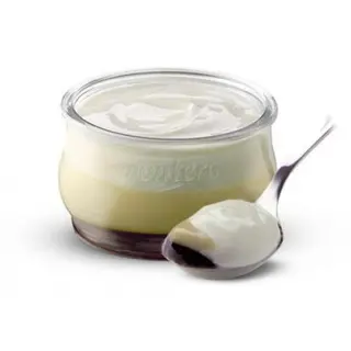Tocino De Cielo Con Yogur