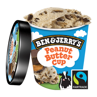 Ben&jerry's Chocolate Fudge Browne 465 ml