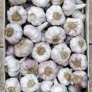 Ajo Extra 250 Gr