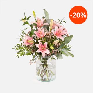 Colvin Always Together Essential