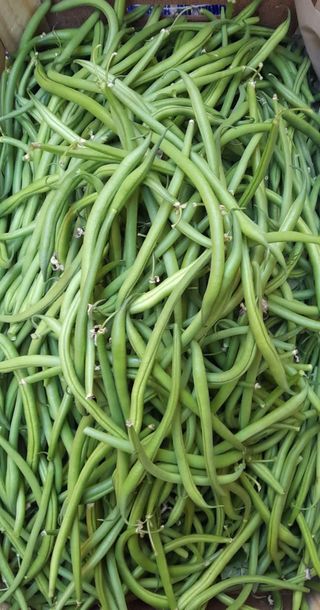 Fagiolini 100  gr