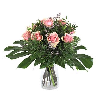 Docena Oli. Rosas Rosas