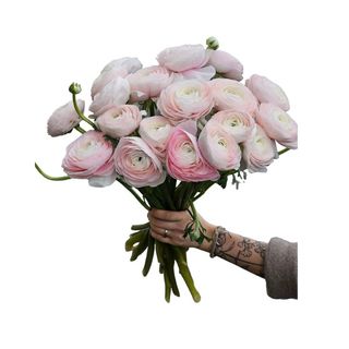 Bukiet z 20  Jaskrów 