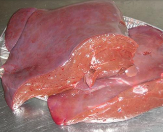 Fegato di vitello 500 g