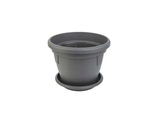 Саксия, сива, Ф14