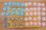 Cake pops