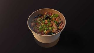 Chicken Teriyaki & Noodles Grau