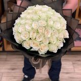 100 rose blanche 