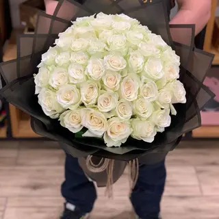 100 Rose Blanche
