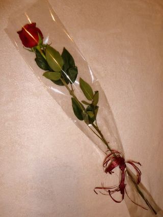 Rosa individual en celofán