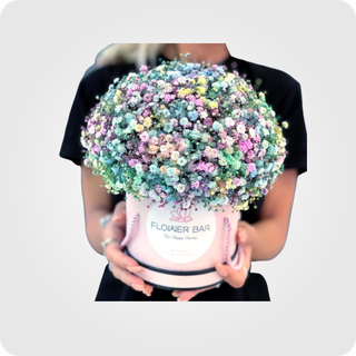  კომპოზიცია B -12