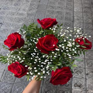 Media Docena Rosas Rojas