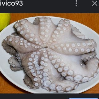 Polpo fresco arricciato del Mediterraneo 