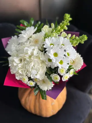 White dream