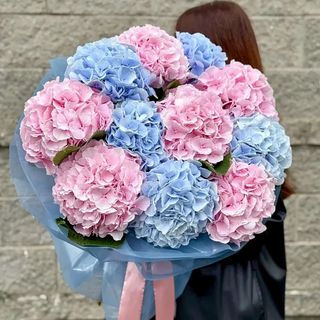 Buchet din 11 hortensii