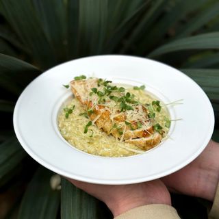 Orzo pasta with chicken