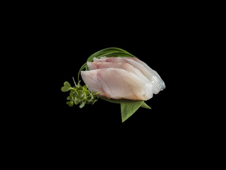 Sea bass sashimi