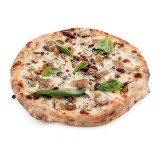 Pizza Funghi Porcini-D
