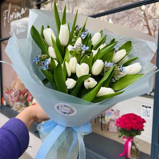 Tulipan biały i oxypetalum