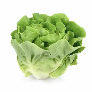 Lattuga (1 pezzo)