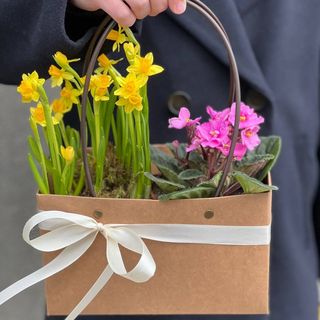 Квіткова композиція з первоцвітів