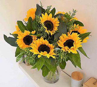 "Lumiere" 53€ a 76 €