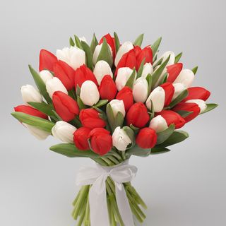 Букет"51 білий та червоний тюльпан"