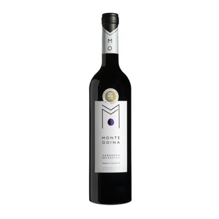 Monte Odina Garnacha Selección 