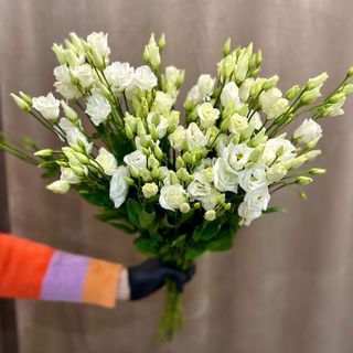 Еустома, біла, гілка 