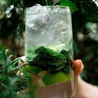 Мохито (350 мл.)