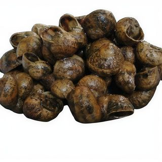 CARAGOLS A L¡ESTIL TORRETTA AMB ALLIOLI