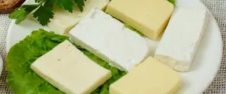 Cheese