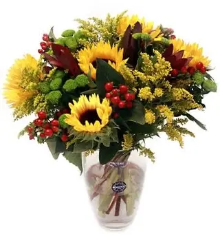 Mistura do Campo
