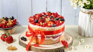 კენკრის ტორტი (10-12 ნაჭრიანი)