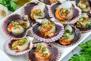 Zamburiñas (6 Uds.)