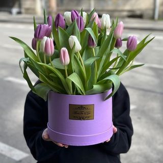 13 ყვავილები ყუთში