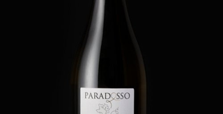 Paradosso Vino Bianco Da Uve Rosse - Trabucco