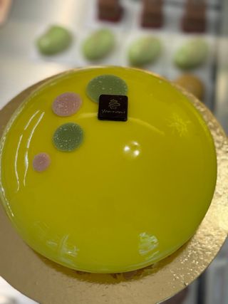 Tort LemonYam 1.3 kg