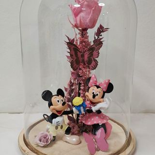 Cúpula Mickey y Minnie