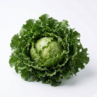 Cima cicoria al pezzo