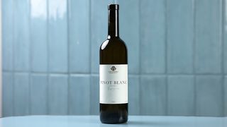 პინო ბლანი