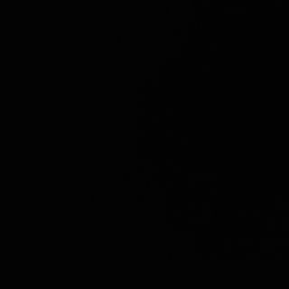 Ciorba de pui cu urechi de lemn