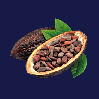 Tarrina 500G Cacao 100% Sur de Lago