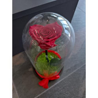 Cupola trandafir criogenat inima