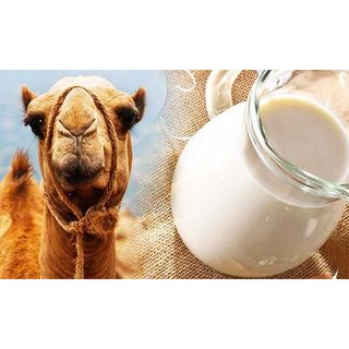 Camel Milk