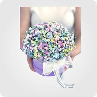  კომპოზიცია B -4