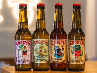 Комбуча Godzyki (330ml)